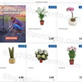 01 Promoções-Descontos-40989.jpg